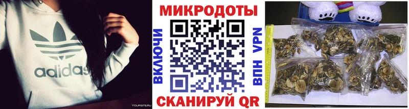 Галлюциногенные грибы мицелий  Ишимбай 